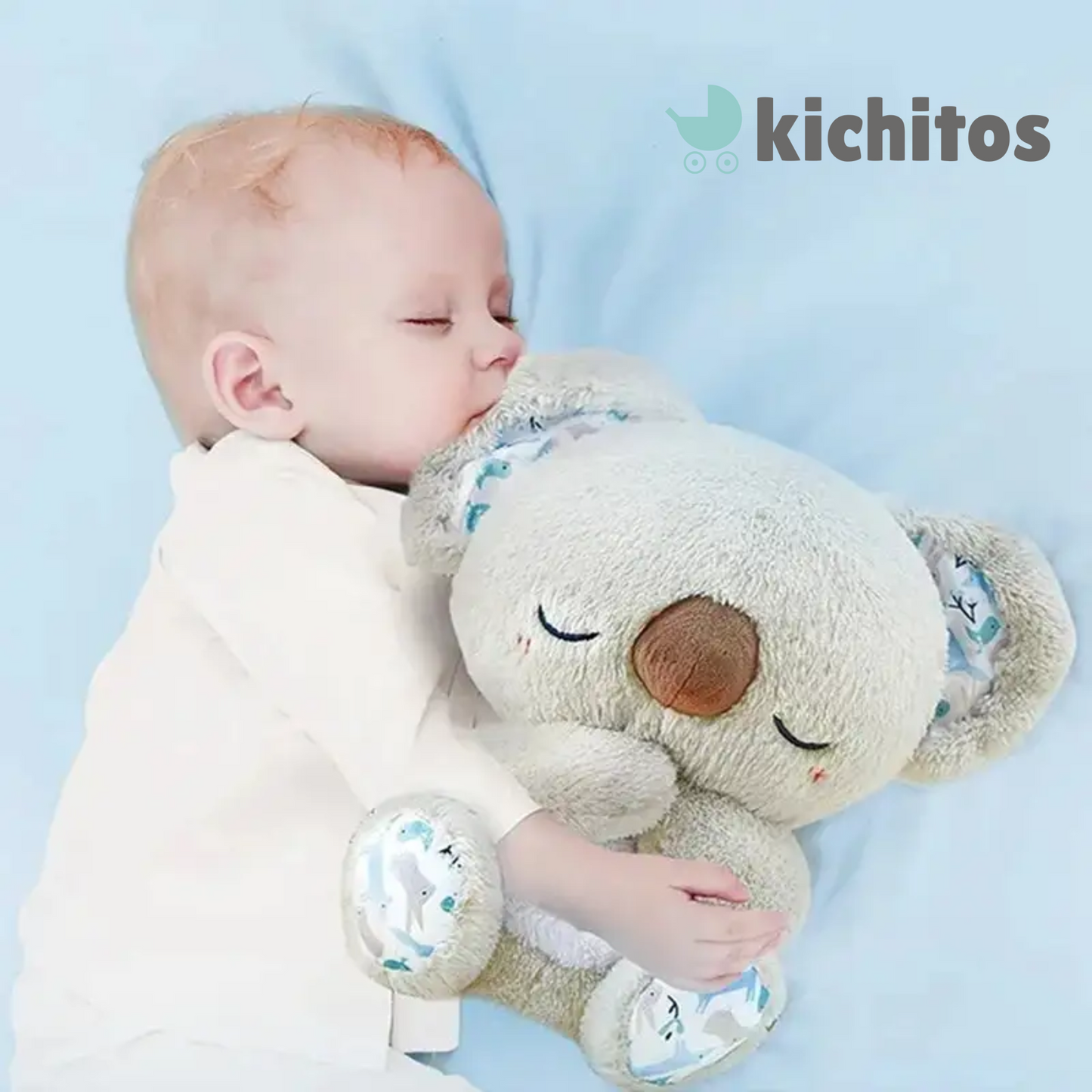 Bedtime Baby koala