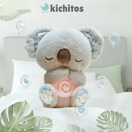 Bedtime  Baby koala