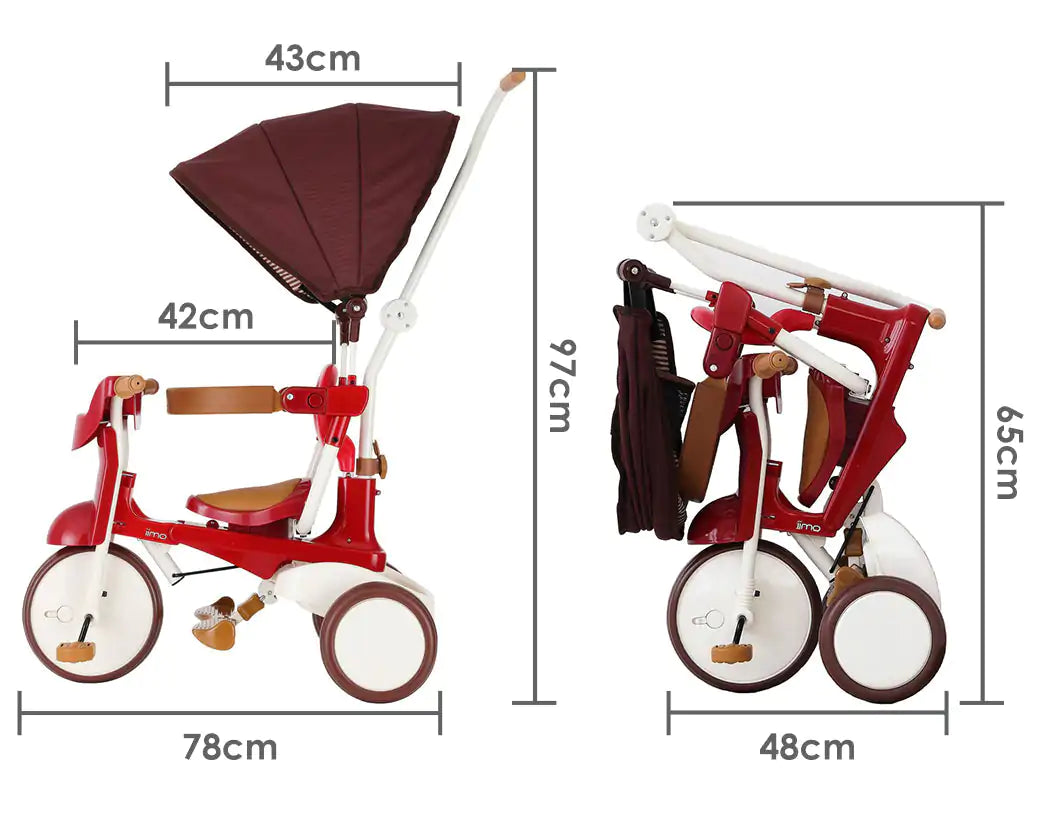 Tricycle 3-1 with Canopy